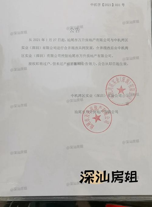 重磅！汕尾高鐵站旁萬升廣場或將易主，國內貿易代理或成新起點