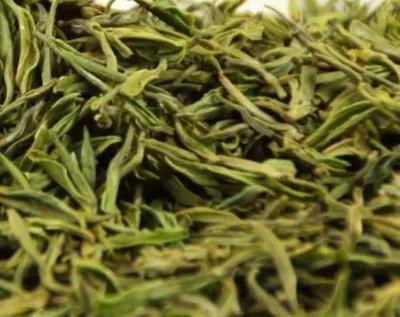 建德苞茶 杭州綠茶的玲瓏珍品