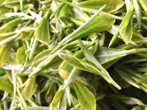 貴州茶香飄四海 從地方特產(chǎn)品到第一大出口農(nóng)產(chǎn)品的崛起之路