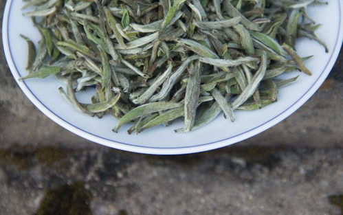 千年茶韻，固始青峰云霧 信陽毛尖的山水精魂