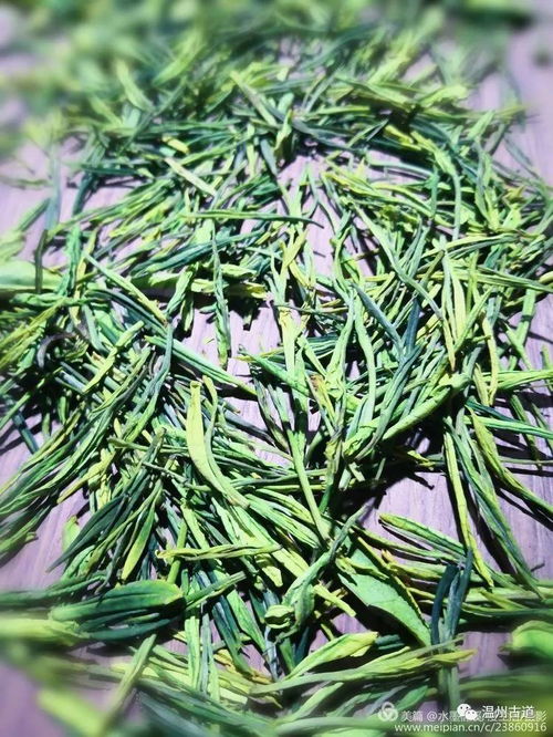 安吉茶鄉行 走進一片綠葉的千年絮語