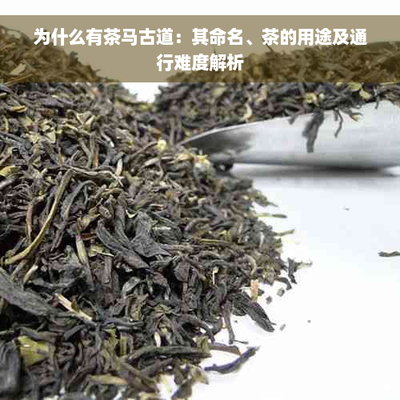 茶馬古道 一條穿越時空的生命之路